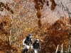 randonnée enduroautour du Sancy